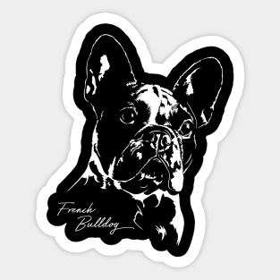 French Bulldog dog Frenchie portrait Sticker